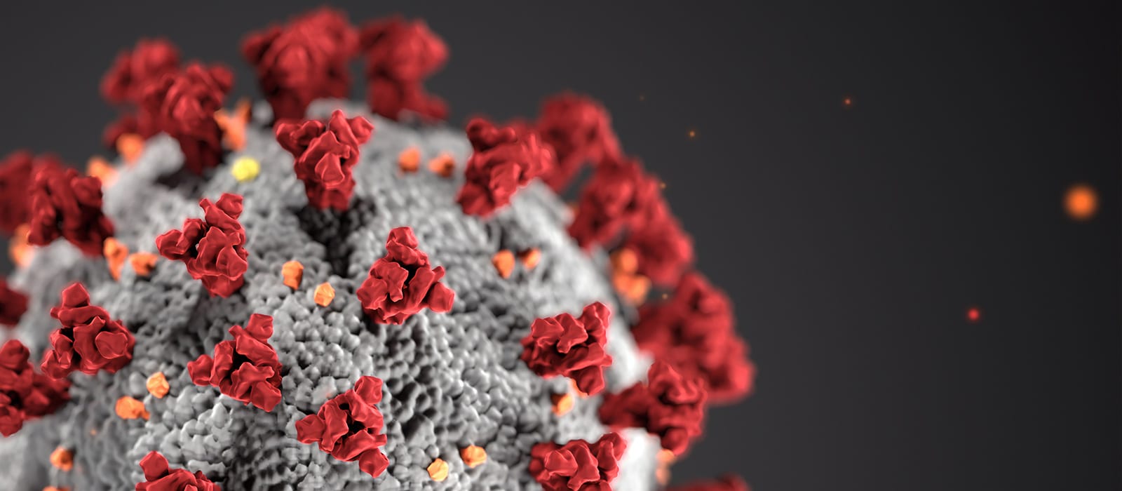 Closeup image of a Virus
