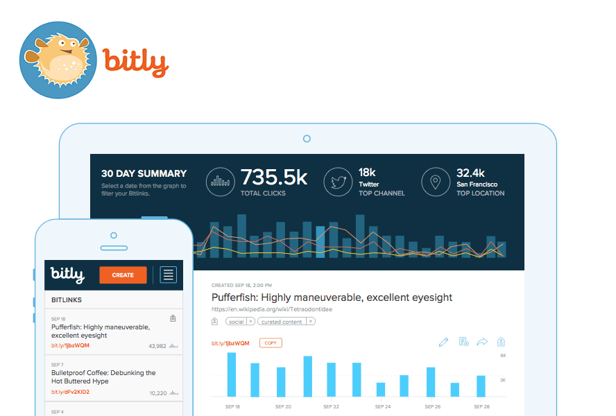 bitly screen capture