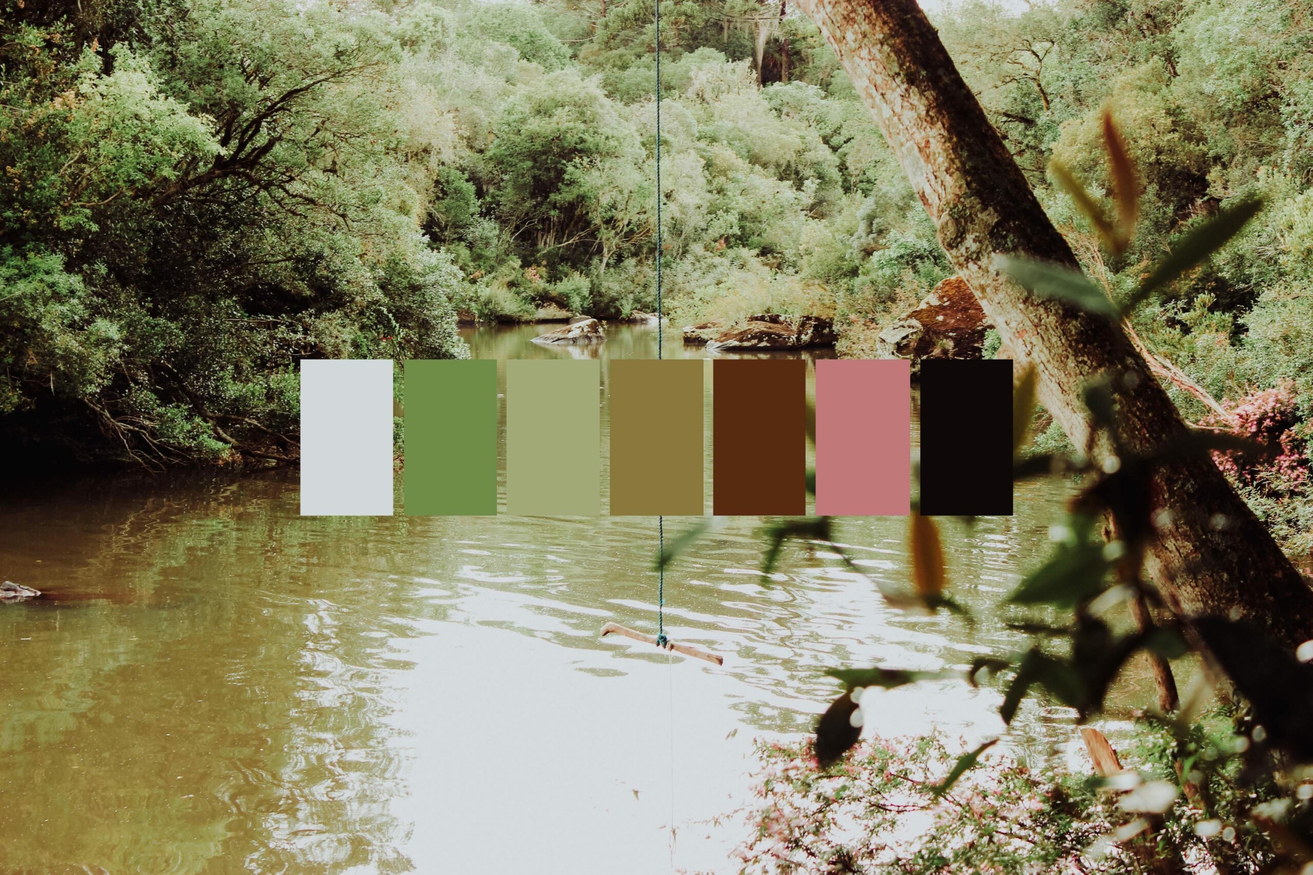 Image of a river surrounded by trees. On top of the image is a palatte of colors that use colors from the image.