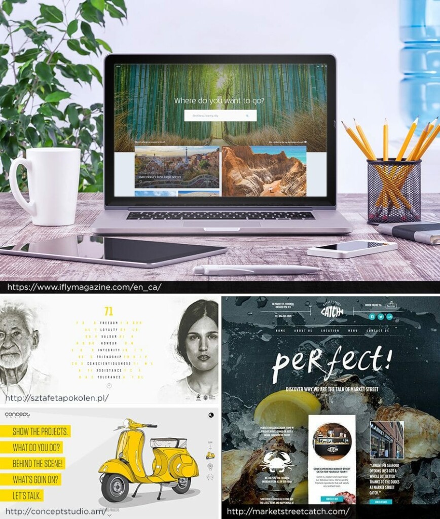 Top: Website with organic images on laptop, Middle Left, website with man and woman pencil drawing images, Bottom Right, Fish Website with background image of ice, fish etc. Bottom right: Hand drawn looking website.