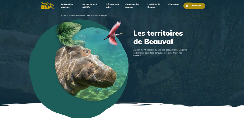 Zoo Beauval, dark blue/green background organic image overlayed with white and gold text and colorful images.