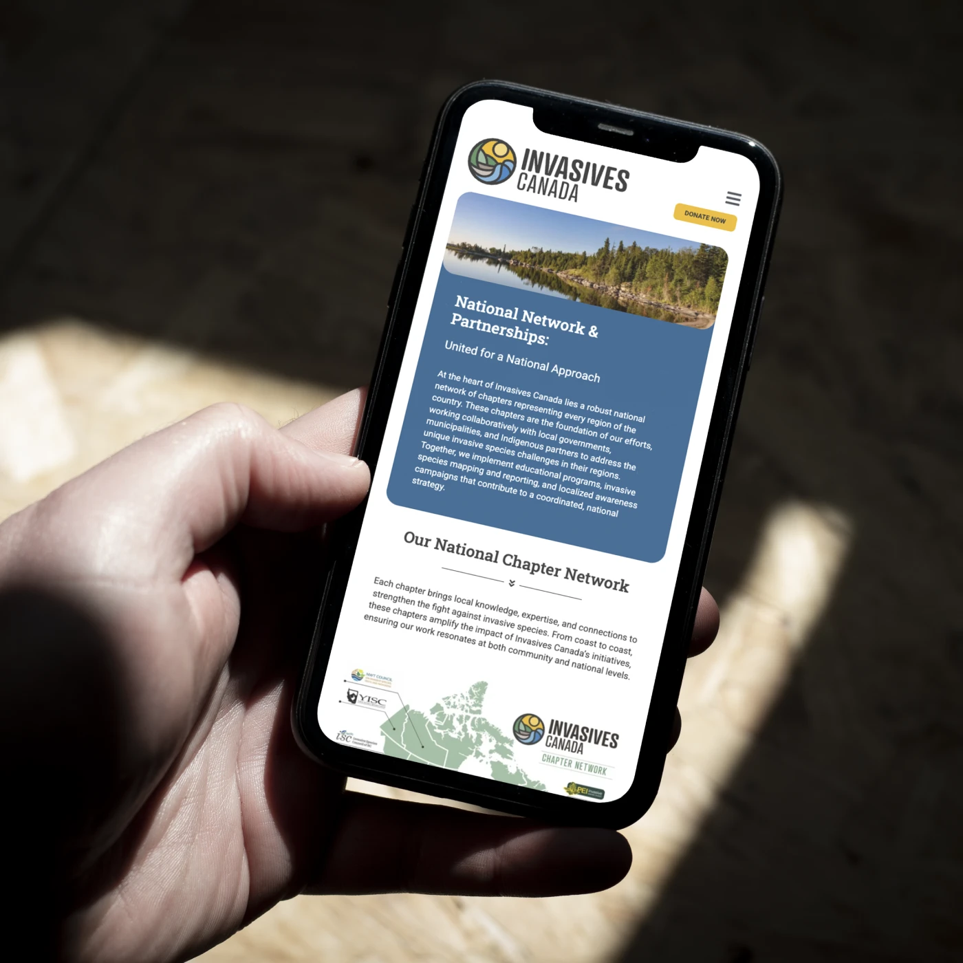 Man holding mobile phone showing the invasives Canada mobile site - development by My Brother Darryl