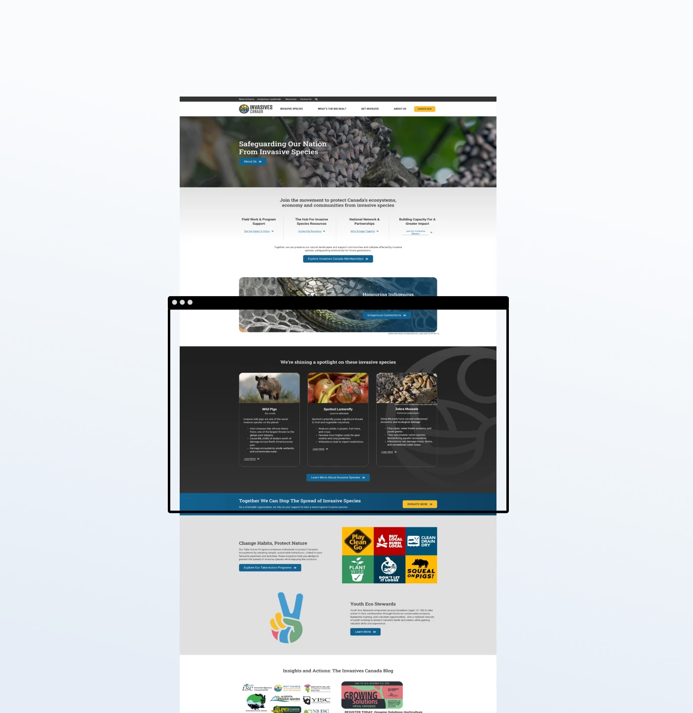 Wild Pigs Canada Website homepage in a browser window - digital development by My Brother Darryl