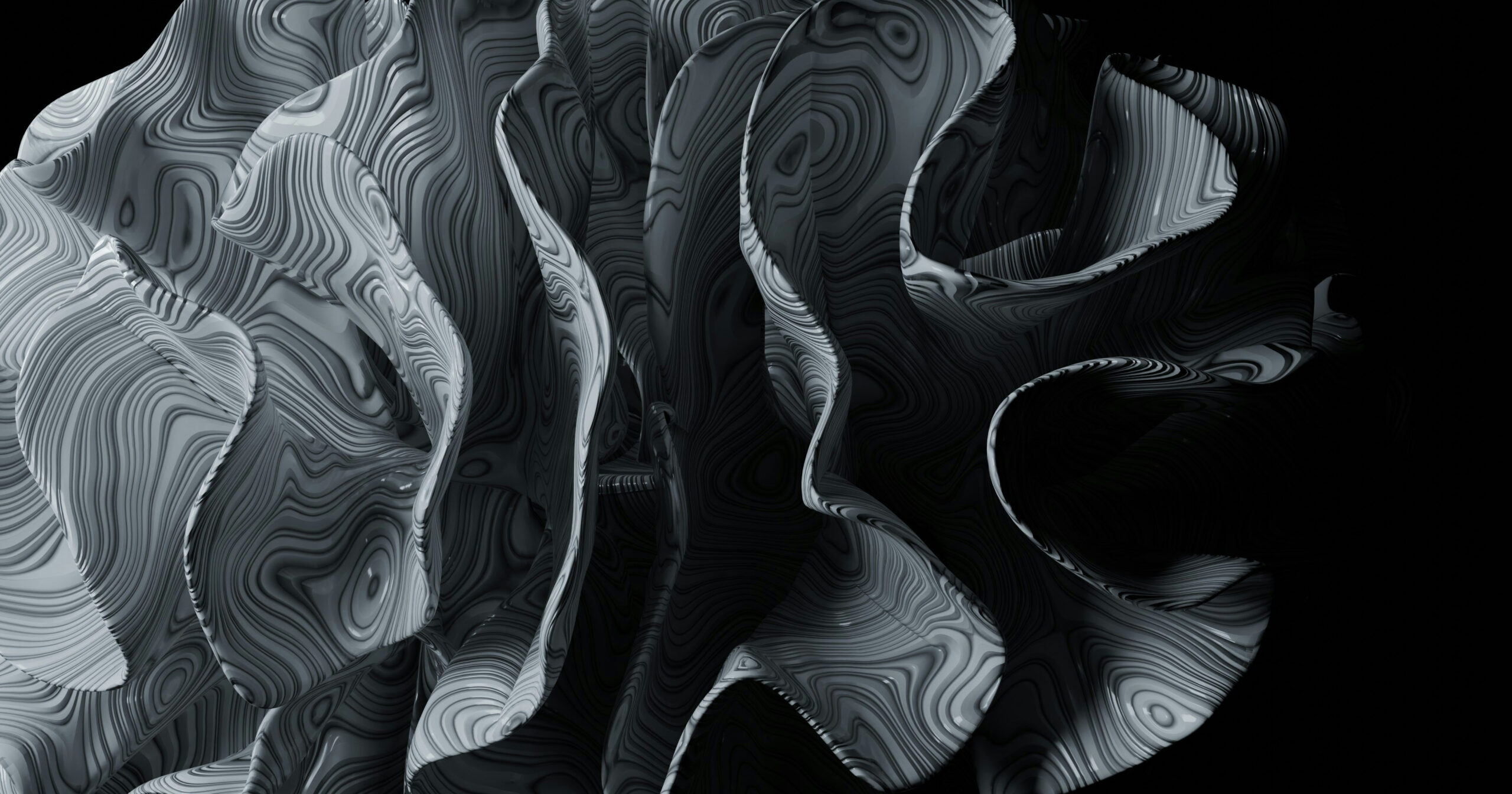 Organic Abstract shape in black and white